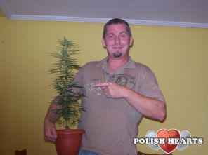 pollo12
