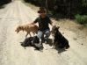 I like dogs (but I haven\'t now, those are my brother\'s)